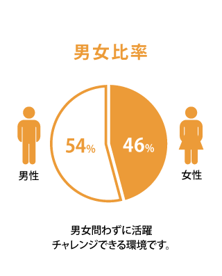 男女比率